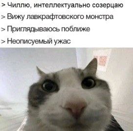 > Проснулся
