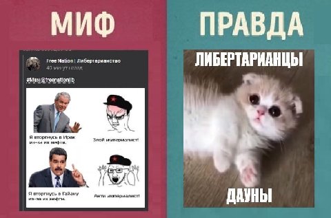 МИФ ПРАВДА Free Nation Либертарианство ЛИБЕРТАРИАНЦЫ Я вторгнусь в Ирак Злой империалист! из-за нефти, Я вторгнусь в Гайану Анти из-за нефти. ДАУНЫ