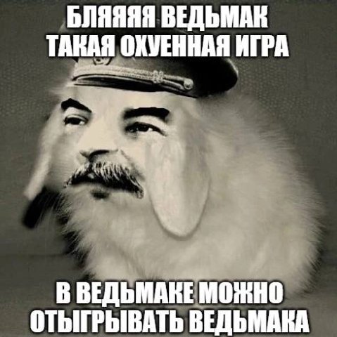 БЛЯЯЯЯ ВЕДЬМАК ТАКАЯ ОХУЕННАЯ ИГРА В ВЕДЬМАНЕ МОЖНО ОТЫГРЫВАТЬ ВЕДЬМАКА