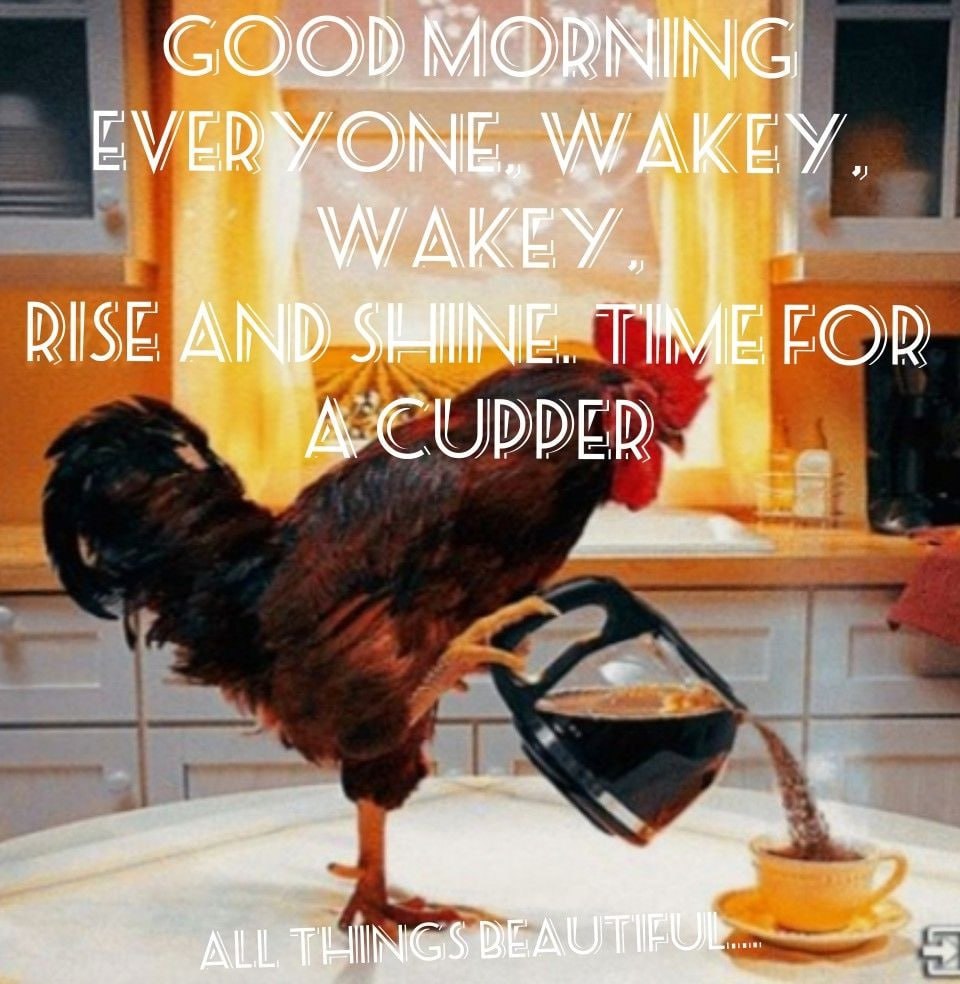NING GOOD MOR EVERY ONE, RISE: