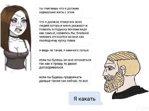 ты считаешь что я должна нормально жить с этим что я должна отвергать всех людей которые меня уважают и плакать в подушку ночами видя как самый, казалось бы, близкий человек относится мне как последне