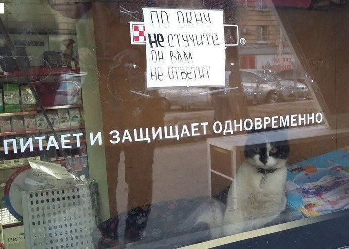 ПИТАЕТ и ЗАЩИЩАЕТ ОДНОВРЕМЕННО