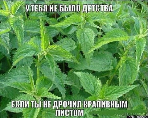 УТЕБЯ НЕБЫЛО 4 у Low 28” A „ЕСЛИ HE ДРОЧИЛ ВРАПИВНЫМ