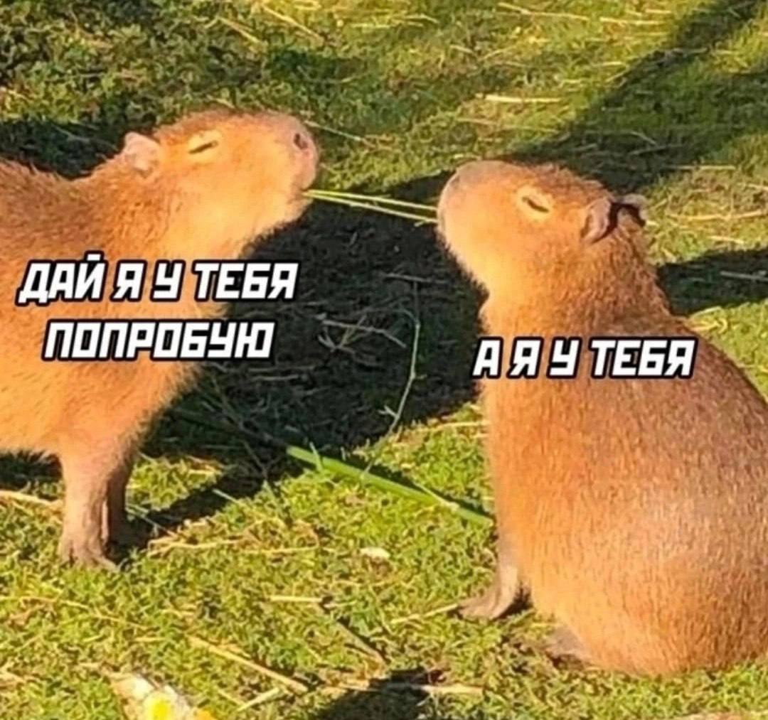 ДАЙ Я ТЕБЯ