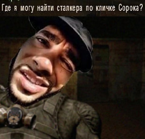Где я могу найти сталкера по кличке Сорока?