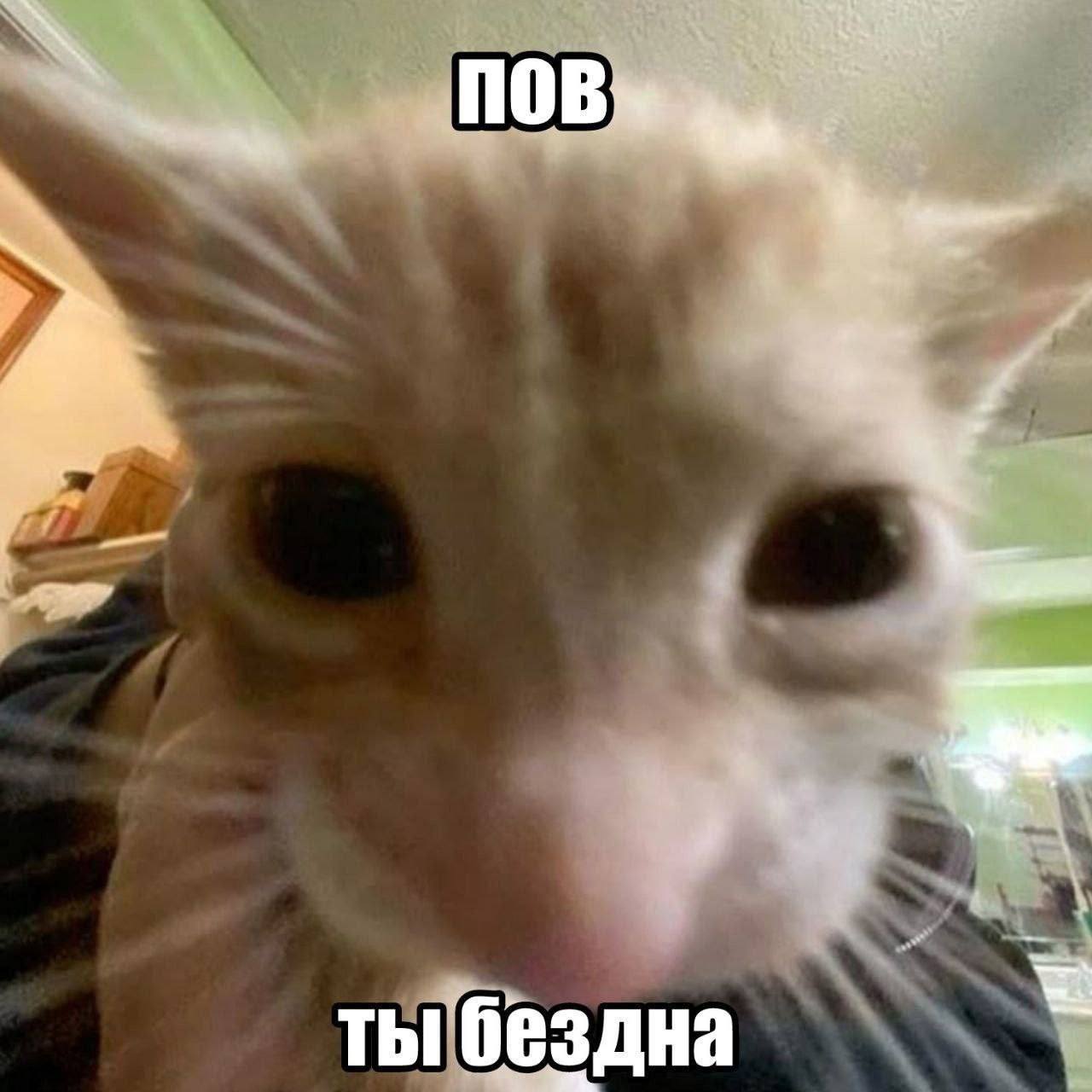 ты бездна