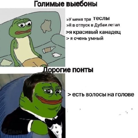 Голимые выебоны >У меня три Теслы >Я в отпуск в Дубаи летал >A красивый канадец яочень умный Порогие понты SED есть волосы на голове