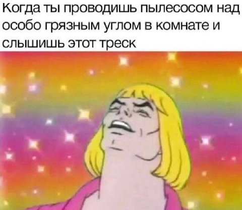 Когда ты проводишь пылесосом над особо грязным углом в комнате и слышишь этот треск a