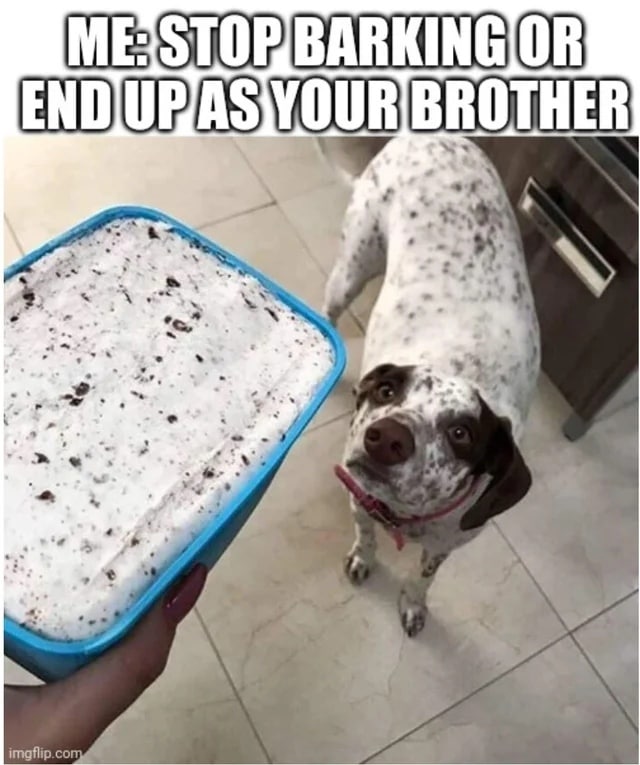 BROTHER imaflip.co