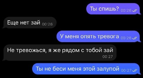Ты спишь? Еще нет зай У меня опять тревога Не тревожься, я же рядом с тобой зай Ты не беси меня этой залупой