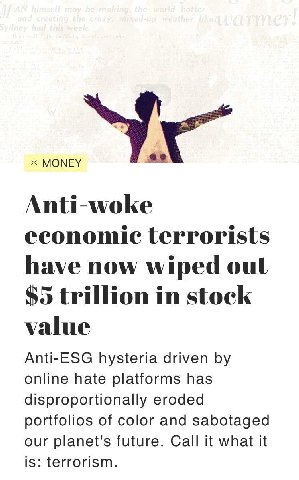 MONEY Anti-woke economic terrorists have now wiped out $5 trillion in stock value Anti-ESG hysteria driven online hate platforms has disproportionally eroded portfolios of color and sabotaged our plan