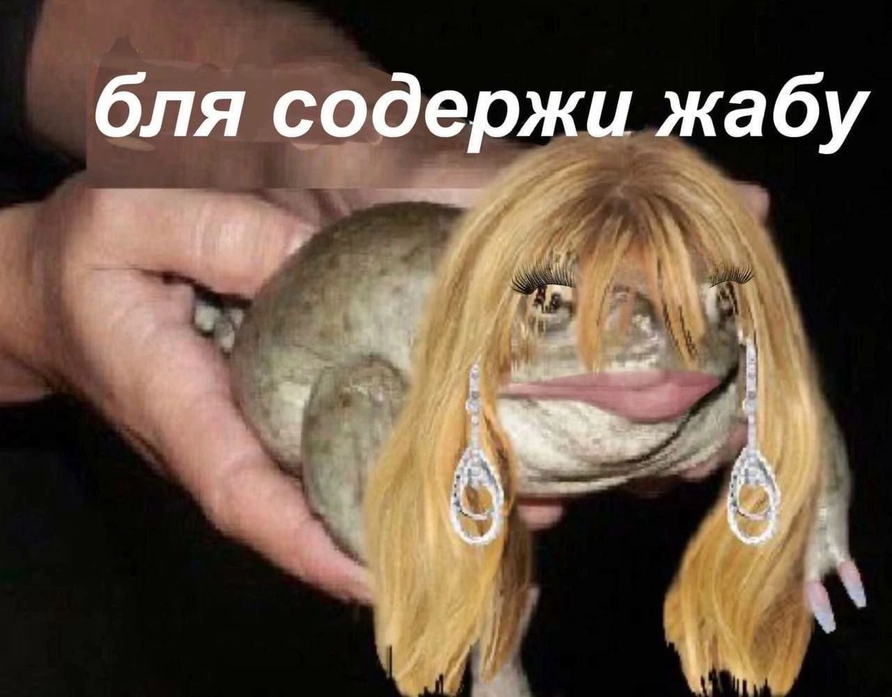 бля содержи жабу
