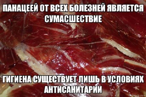 этот мем здесь только потому что я сначала увидела в нем слово «пастрами»