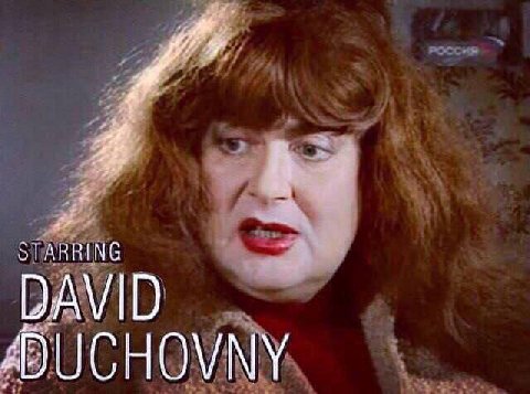 STARRING DAVID