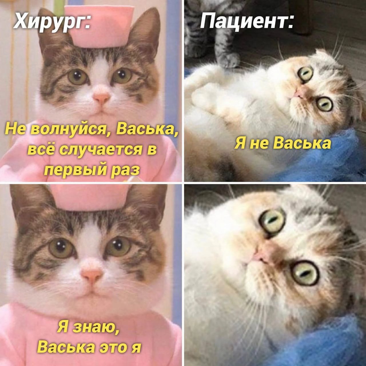 Хирург Пациент: 4 Не[волнуйся, Васька, все Я не Васька первый раз Я знаю, Васька это я
