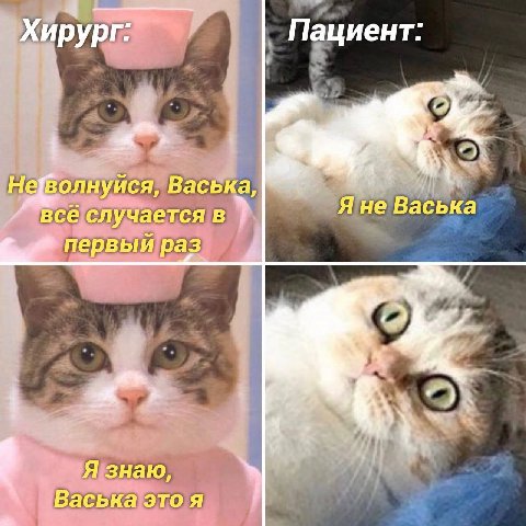 Хирург Пациент: 4 Не[волнуйся, Васька, все Я не Васька первый раз Я знаю, Васька это я