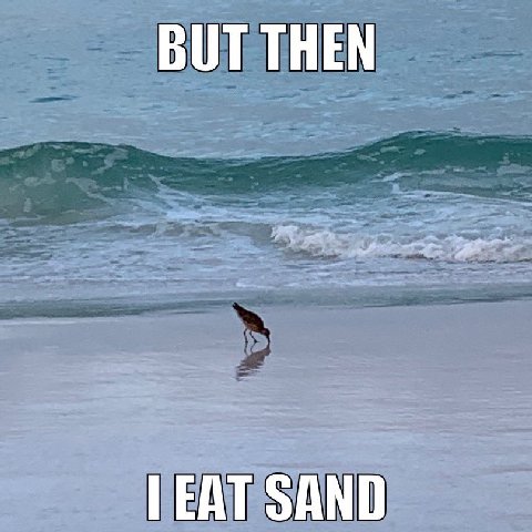 BUT THEN SAND