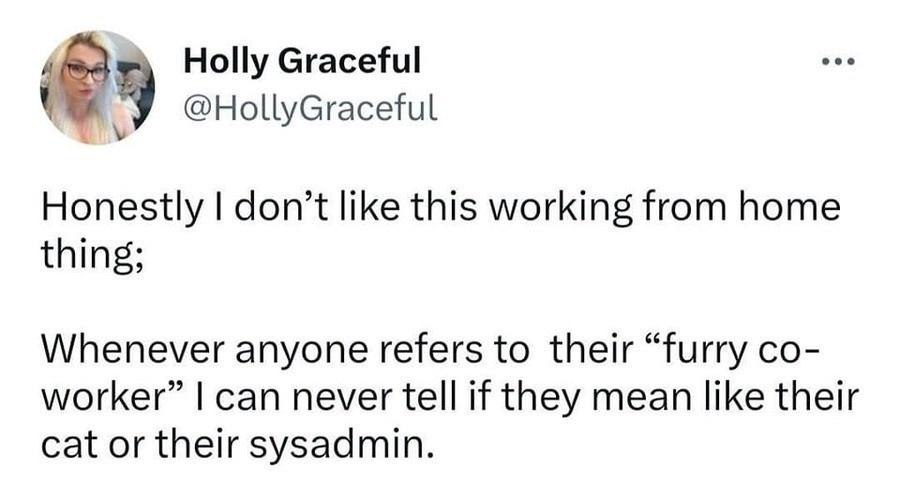 Holly Graceful @НоЦуСгасе и Honestly don’t like this working from home thing; Whenever anyone refers to their “furry worker” can never tell if they mean like their cat or their sysadmin.