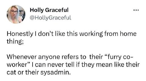 Holly Graceful @НоЦуСгасе и Honestly don’t like this working from home thing; Whenever anyone refers to their “furry worker” can never tell if they mean like their cat or their sysadmin.