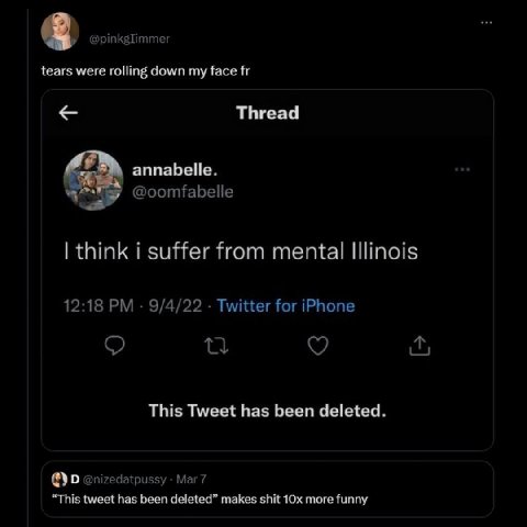 tears were rolling down my face Thread annabelle. @oomfabelle think i suffer from mental Illinois 12:18 9/4/22 Twitter for iPhone о This Tweet has been deleted. @nizedatpussy Mar7 “This tweet has been