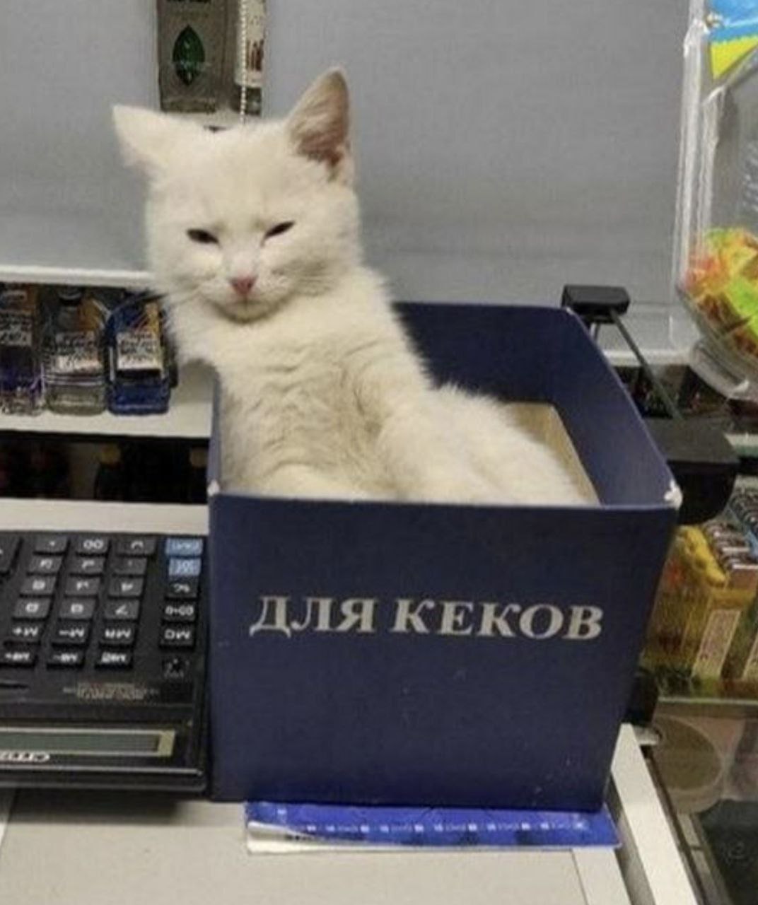 а I ДЛЯКЕКОВ