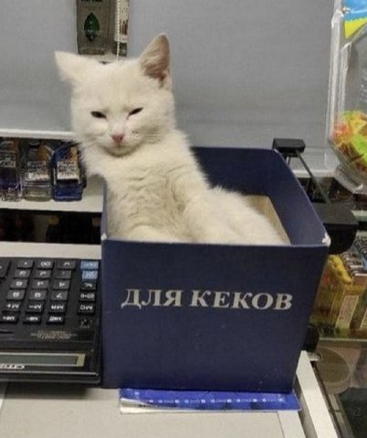 а I ДЛЯКЕКОВ