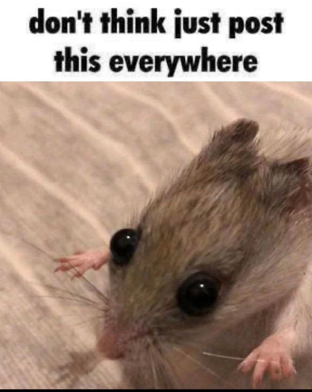 don't think just post this everywhere