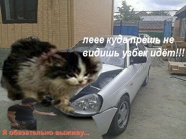 кудатрешь видишь узбек идёт!!!