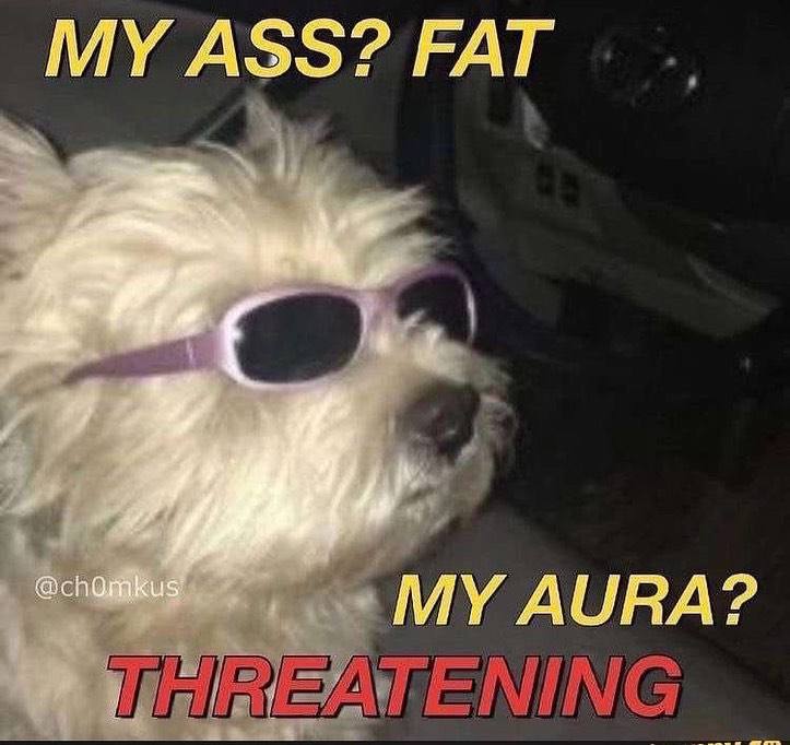 MY ASS? FAT MY AURA?