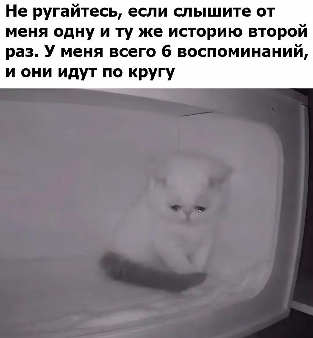 Не ругайтесь, если слышите от меня одну и же историю второй раз. У меня всего 6 воспоминаний, и они идут по кругу