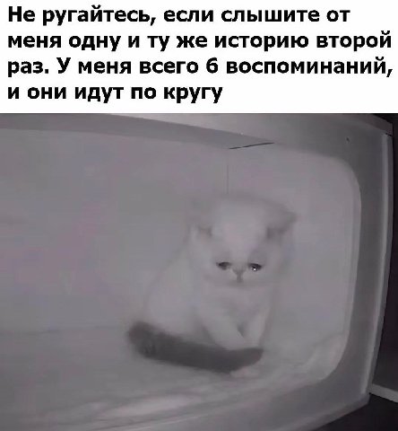 Не ругайтесь, если слышите от меня одну и же историю второй раз. У меня всего 6 воспоминаний, и они идут по кругу