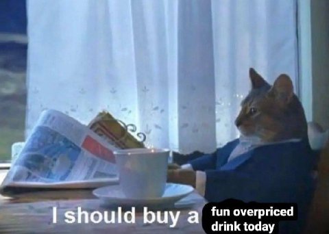 should buy a fun overpriced drink today