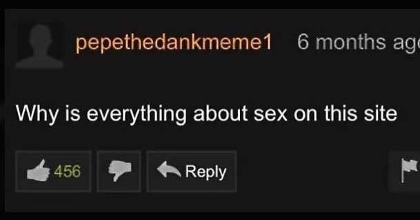 6 months Why is everything about sex on this site 456 Reply