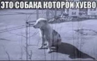 soba4ka, мы тебя понимаем =(
