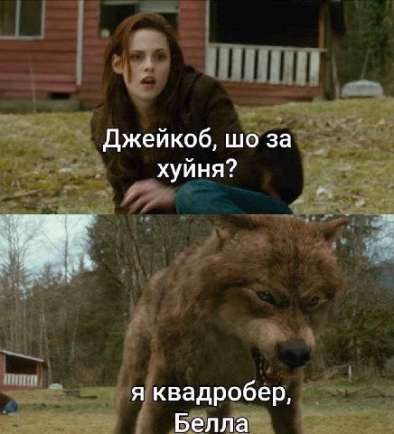 Джейкоб, за хуйня? я квадробер, Белла