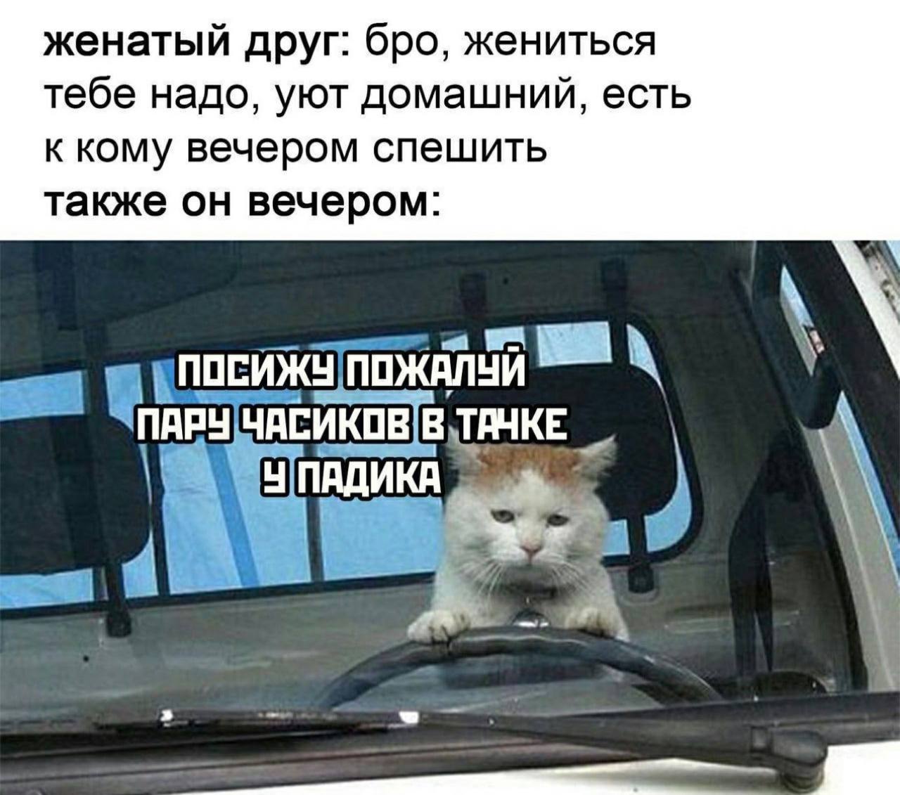 женатый друг: бро, жениться тебе надо, уют домашний, есть к кому вечером спешить также он вечером ПОЖАЛУЙ ЧАСИКОВ ПАДИКА a
