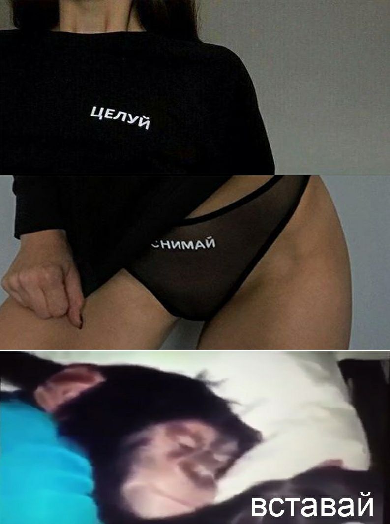 вставай