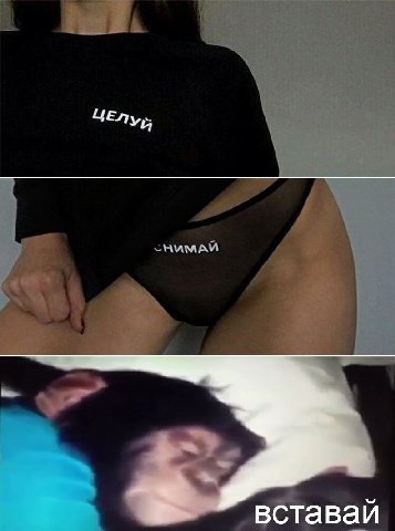 вставай