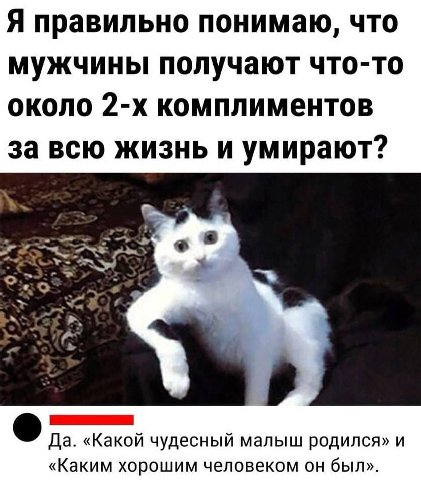 Я правильно понимаю, что мужчины получают что-то около комплиментов за всю жизнь и умирают? Да. «Какой чудесный малыш родился» и «Каким хорошим человеком он был».
