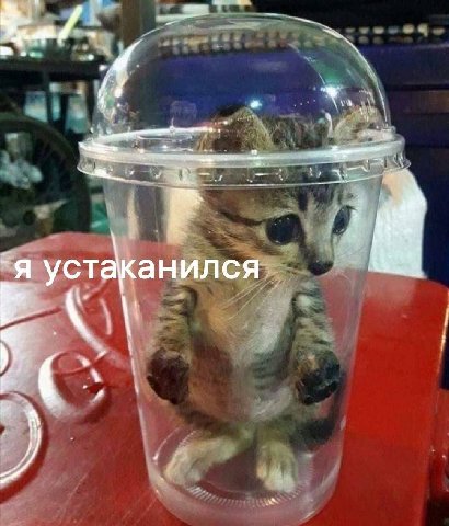 у A ‘я устаканился