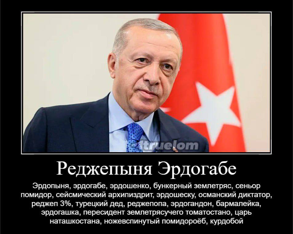 we Реджепыня Эрдогабе Эрдопыня, эрдогабе, эрдошенко, бункерный землетряс, сеньор помидор, сейсмический архипиздрит, эрдошеску, османский диктатор, реджеп 3%, турецкий дед, реджепопа, эрдогандон, барма