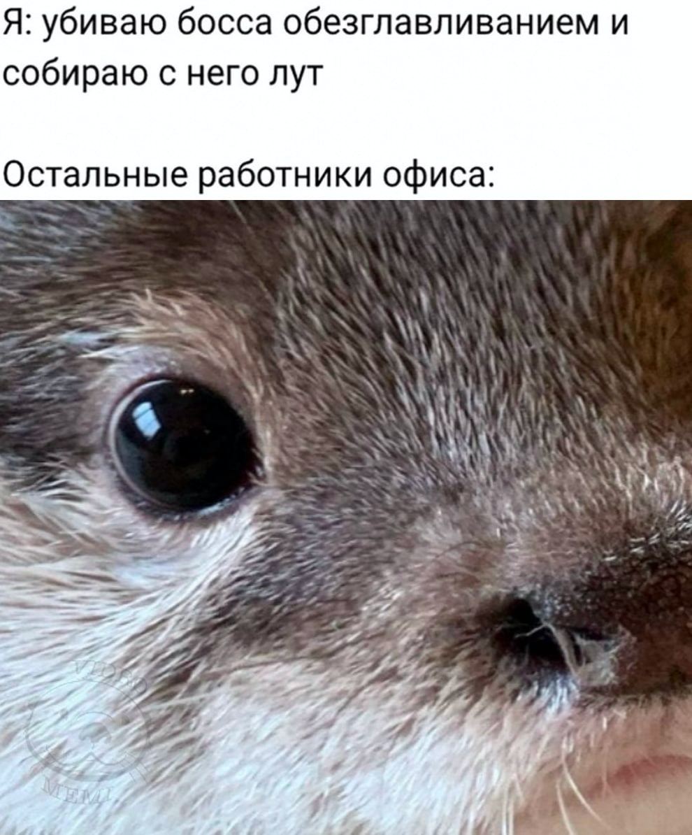 Я: убиваю босса обезглавливанием и собираю с него лут Остальные работники офиса: 7 (4 Lay а 2 7, A