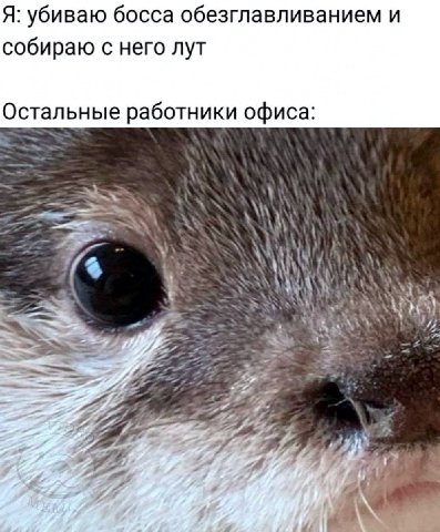 Я: убиваю босса обезглавливанием и собираю с него лут Остальные работники офиса: 7 (4 Lay а 2 7, A