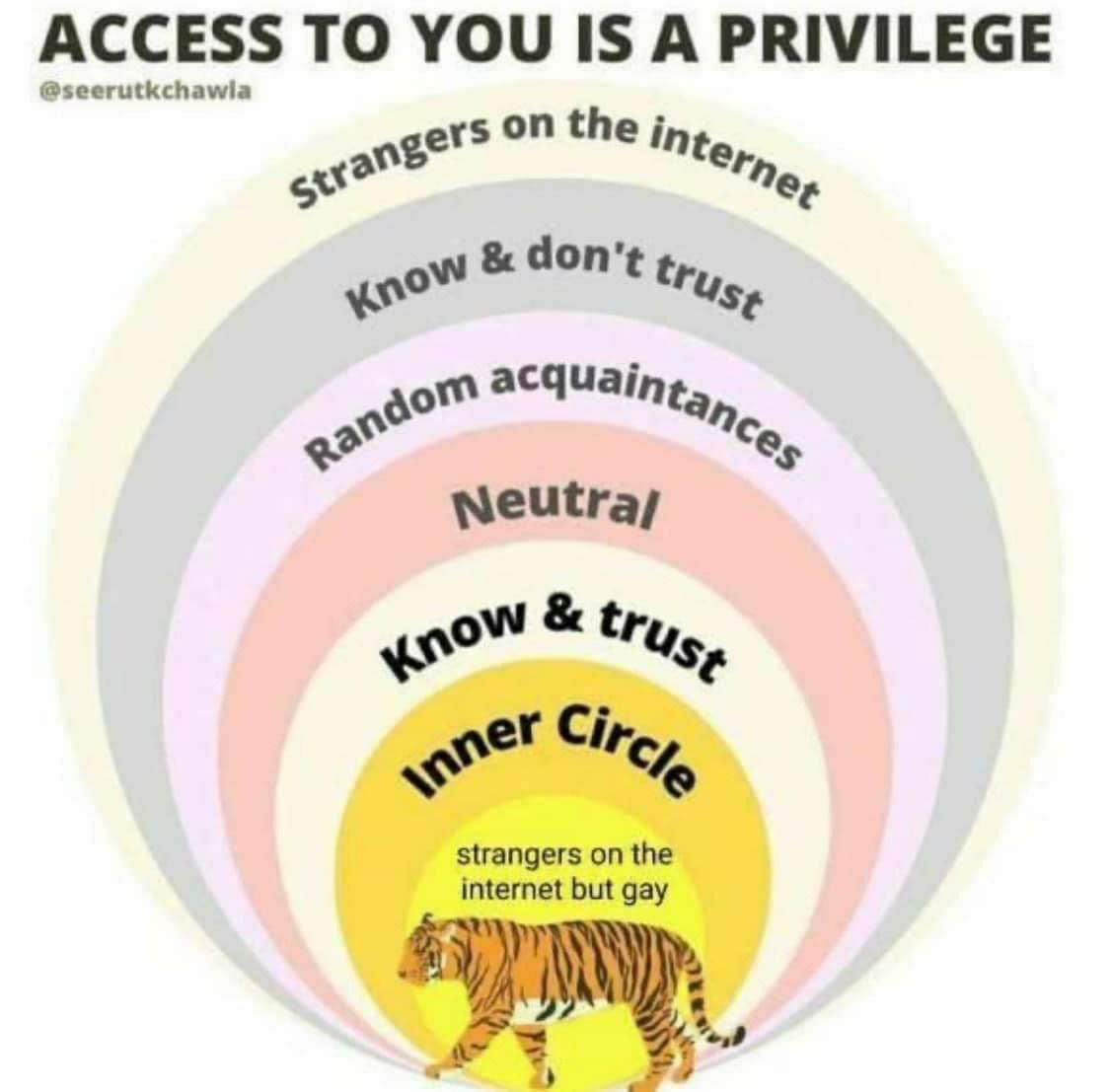 ACCESS ТО YOU IS A PRIVILEGE @seerutkchawia on the; доп’ acquaing, 459“ strangers the internet but gay