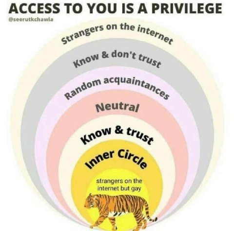 ACCESS ТО YOU IS A PRIVILEGE @seerutkchawia on the; доп’ acquaing, 459“ strangers the internet but gay