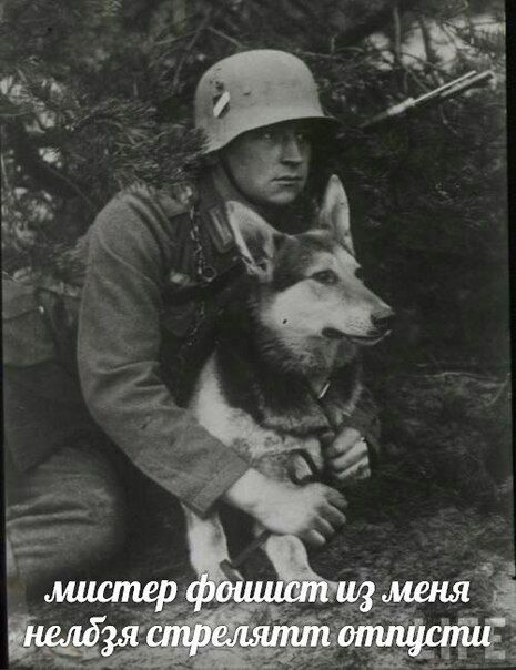 мистер фошист из меня ‚„нелдзя стрелятт отпуспиг