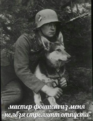 мистер фошист из меня ‚„нелдзя стрелятт отпуспиг