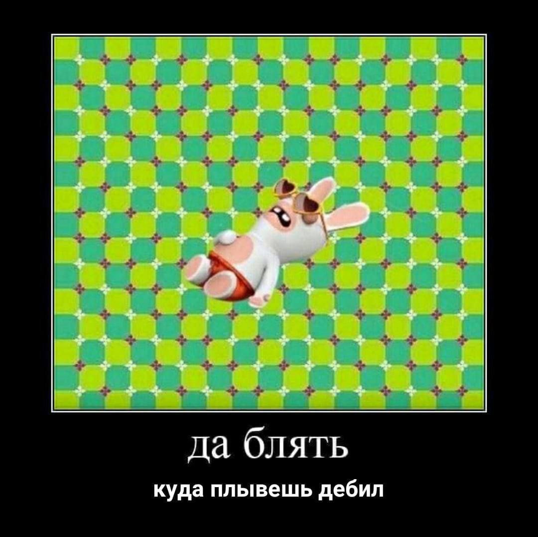 да блять куда плывешь дебил