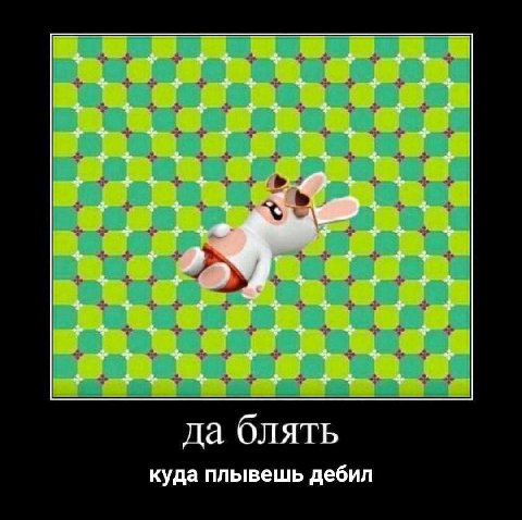 да блять куда плывешь дебил