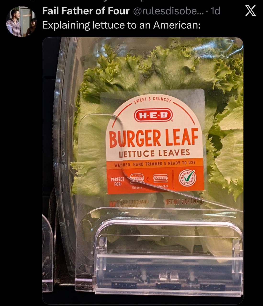 Fail Father of Four @rulesdisobe...- Explaining lettuce to an American: HAND TRIMMED 6 READY ТО USE